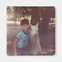 Wrecked 'Um Llama Hug Magnet