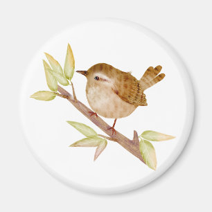Imán Wren Bird Magnets