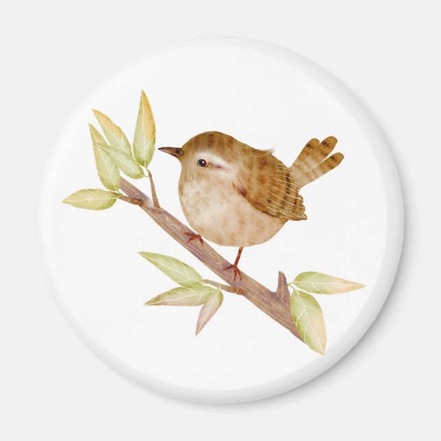 Imán Wren Bird Magnets (Frente)