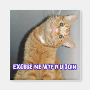 Imán wtf del gato