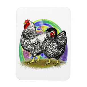 Imán Wyandotte: Pareja de Huevos de Pascua