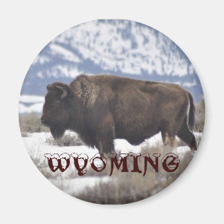 Imán Wyoming