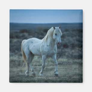 Imán Wyoming, los Estados Unidos de América