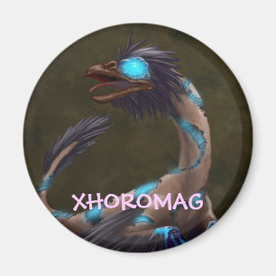 Imán Xhoromag 19