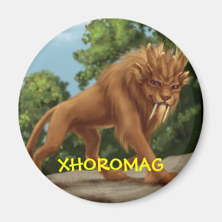 Imán Xhoromag 9