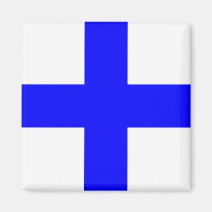 IMÁN XRAY BLUE CROSS