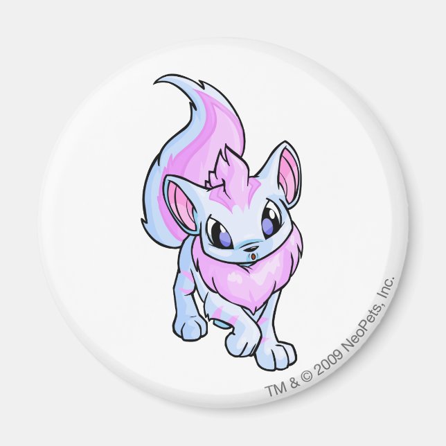 Imán Xweetok Striped (Frente)