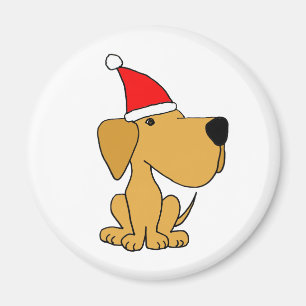 Imán XX labrador retriever amarillo que lleva el gorra