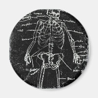 yaie tokyo esqueleto humano anatomía