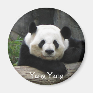 Imán Yang Yang Panda Magnet