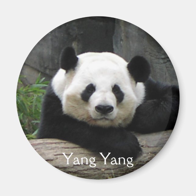 Imán Yang Yang Panda Magnet (Frente)