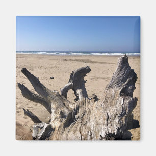 Imán Yaquina Bay State Recreation Site, Newport, Oregón