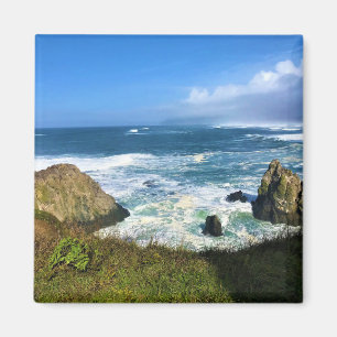 Imán Yaquina Cabeza Área Natural Excepcional, Oregón