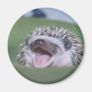 Imán yawner