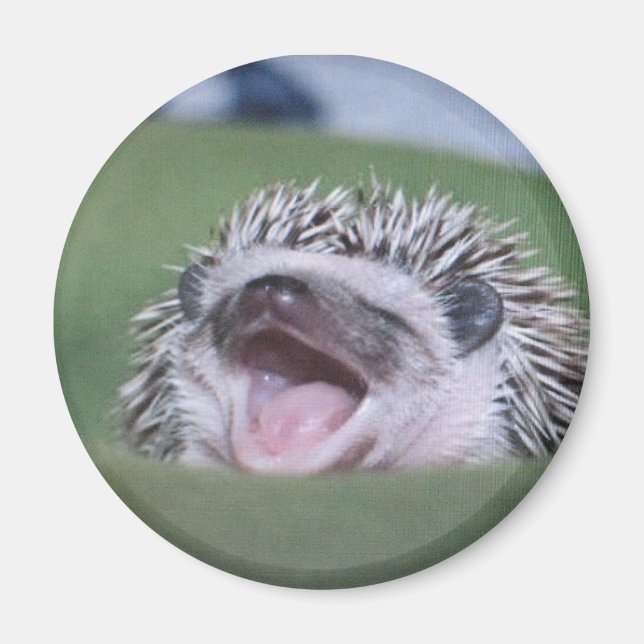 Imán yawner (Frente)