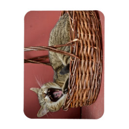Imán Yawning Cat Magnet