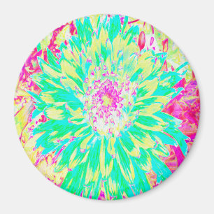 Imán Yellow and Magenta Decorative Dahlia Flower