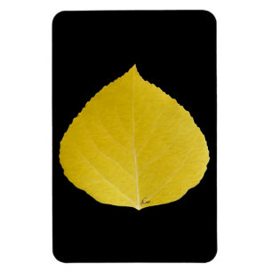 Imán Yellow Aspen Leaf #5
