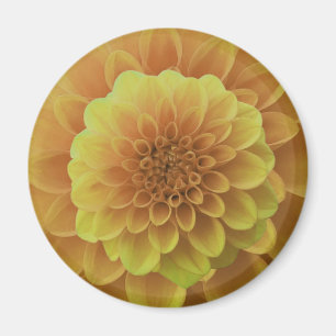 Imán Yellow Dahlia