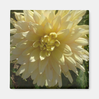 imán "Yellow Dahlia" del artista Jan Turner