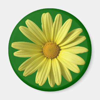 Imán Yellow Daisy