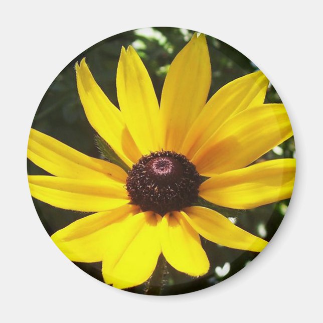 Imán Yellow Daisy Magnet (Frente)