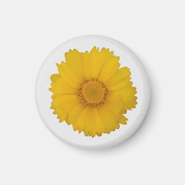 Imán Yellow Daisy Magnet (Frente)