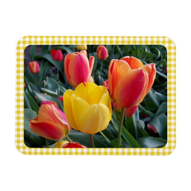 Imán Yellow Gingham Plaid Tulips Garden Photo (Horizontal)