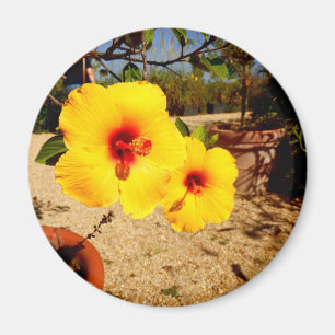 Imán Yellow Hibiscus Magnet