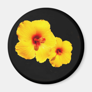 Imán Yellow Hibiscus Magnet