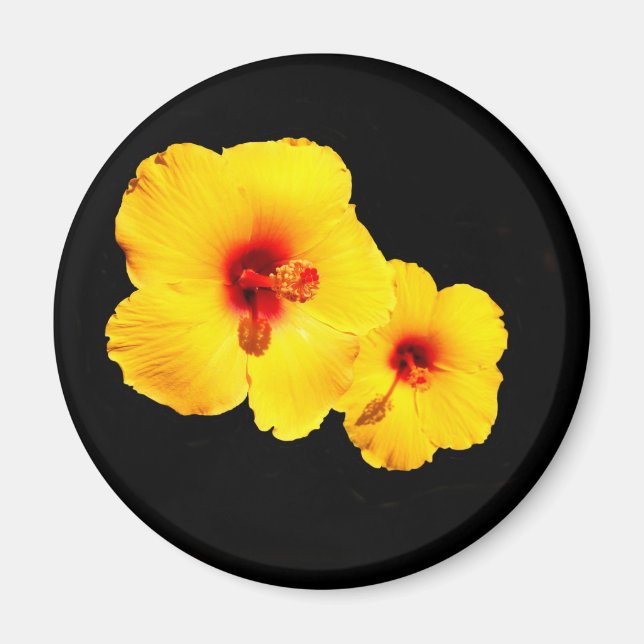Imán Yellow Hibiscus Magnet (Frente)