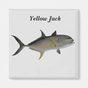 Imán Yellow Jack Fish Magnet