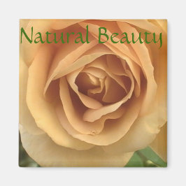 Imán Yellow Rose Magnet