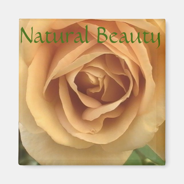 Imán Yellow Rose Magnet (Frente)