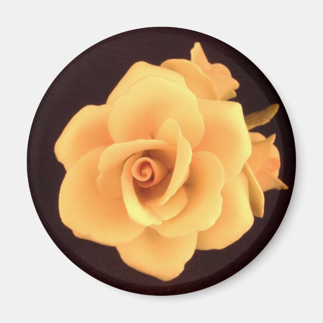 Imán Yellow Rose Magnet (Frente)