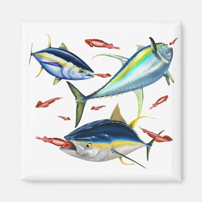 Imán Yellowfin Tunas caza Squid (Frente)