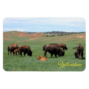 Imán Yellowstone Magnate