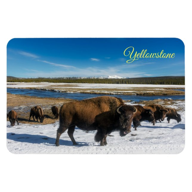 Imán Yellowstone Magnet (Horizontal)
