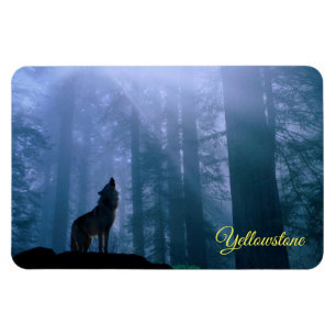Imán Yellowstone Magnet