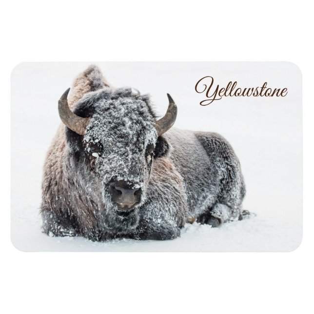 Imán Yellowstone Magnet-Buffalo (Horizontal)
