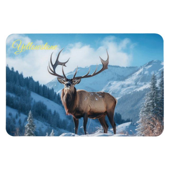 Imán Yellowstone Magnet-Elk (Horizontal)