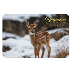 Imán Yellowstone Magnet-Fawn Deer