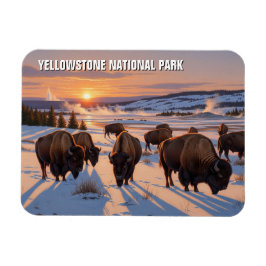 Imán Yellowstone National Park bison