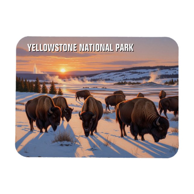 Imán Yellowstone National Park bison (Horizontal)