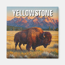 Imán Yellowstone National Park bison