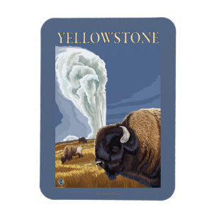 Imán YellowstoneBison con fiel viejo