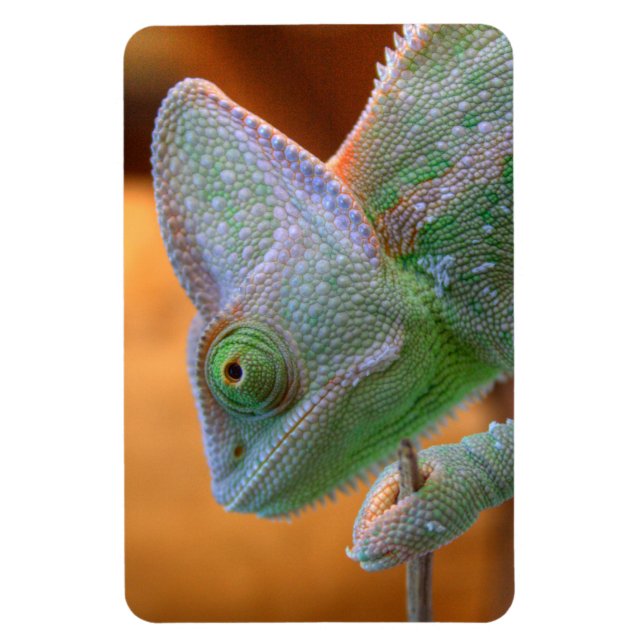 Imán Yemen con velo Chameleon (Vertical)