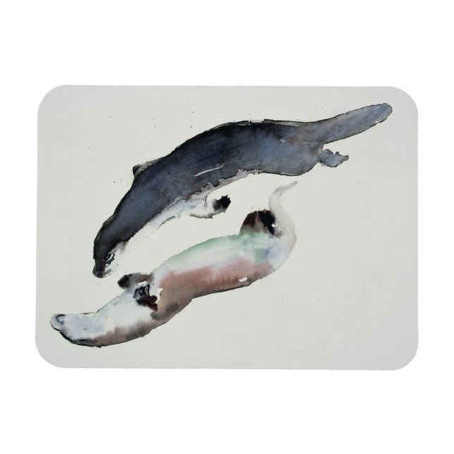 Imán Yin Yang (Horizontal)