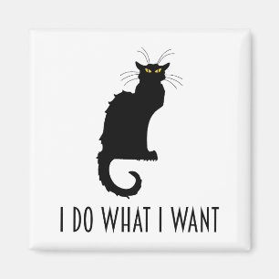 Imán Yo hago lo que quiero un divertido chat de gato