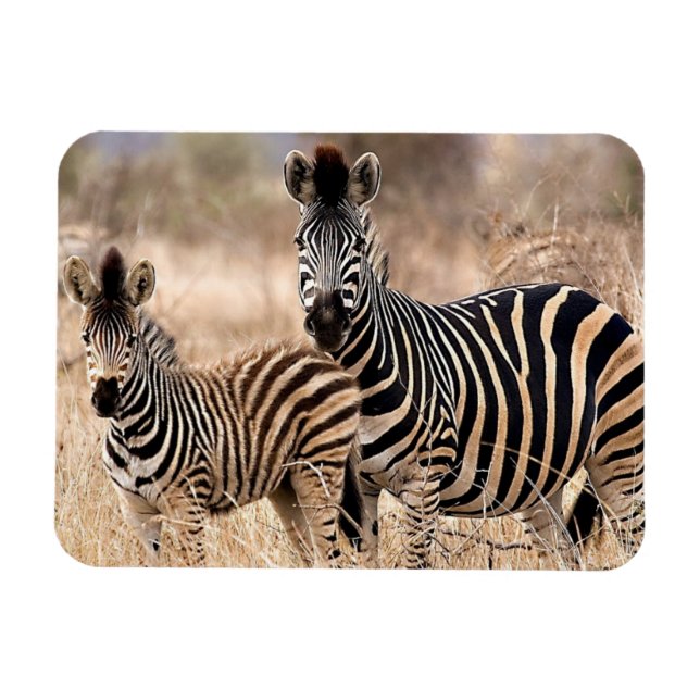 Imán Yo y mamá (Horizontal)